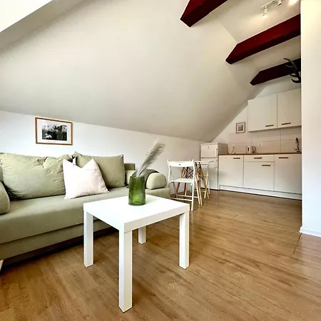 Appartement Studio Lesne Iv