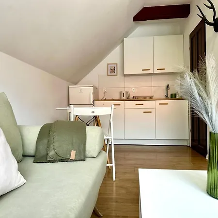 Appartement Studio Lesne Iv